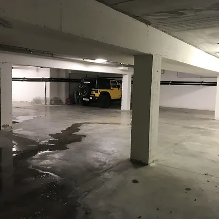 Giallo 노세토